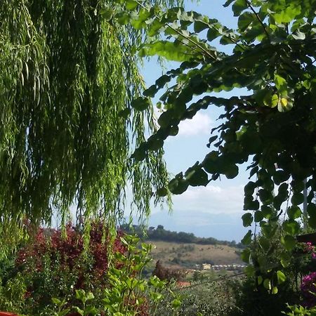 Montesilvano Marina Tre Cammelli In Collina 빌라 외부 사진