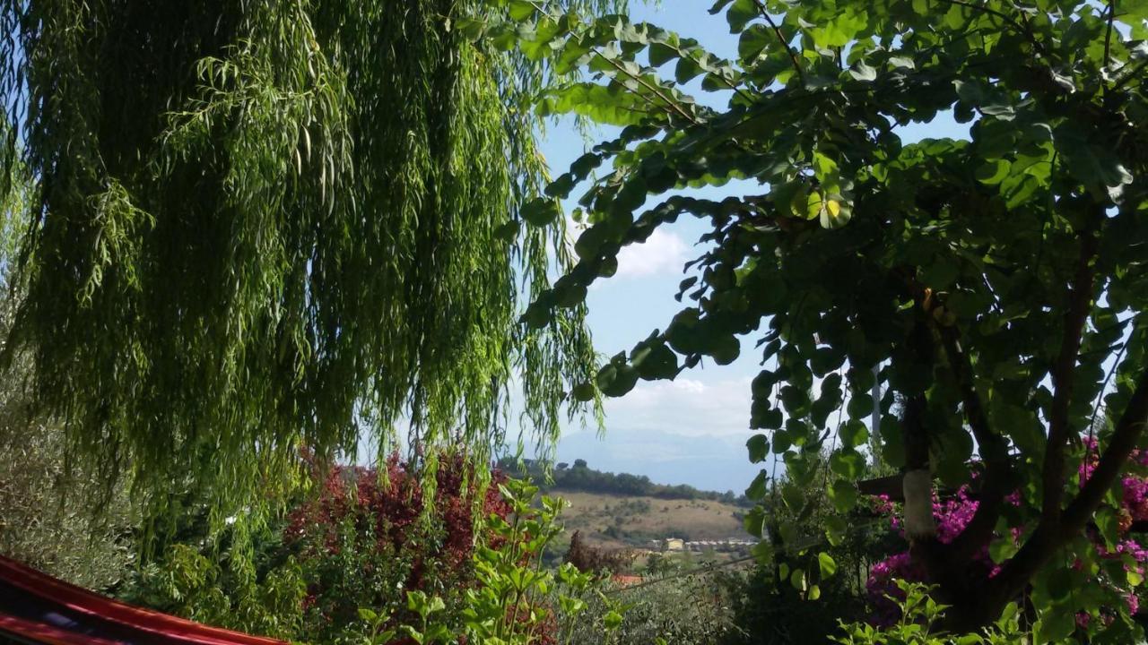 Montesilvano Marina Tre Cammelli In Collina 빌라 외부 사진